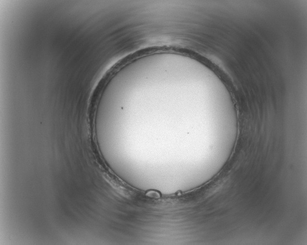 X0000063490927200602101829