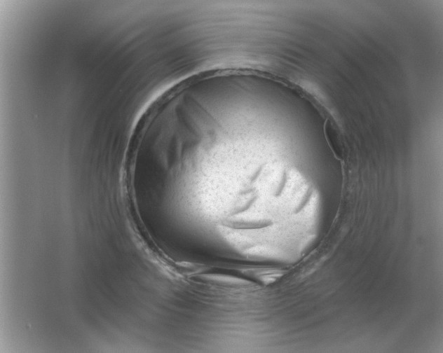 X0000063490928200602101829