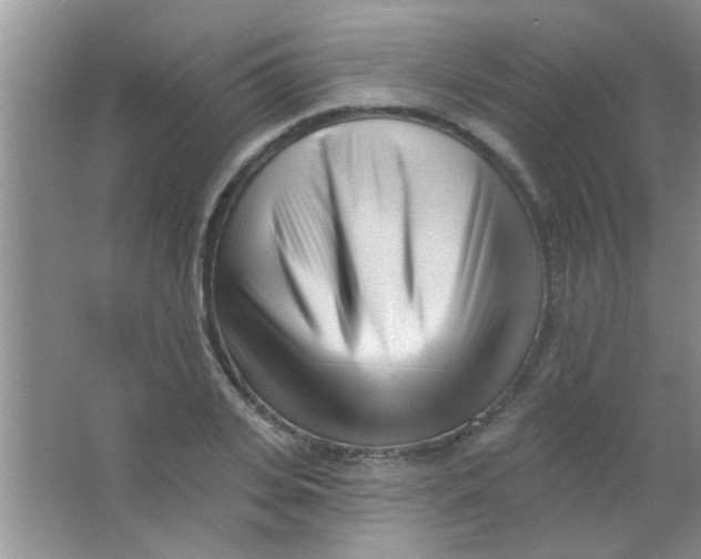 X0000063490935200602101829