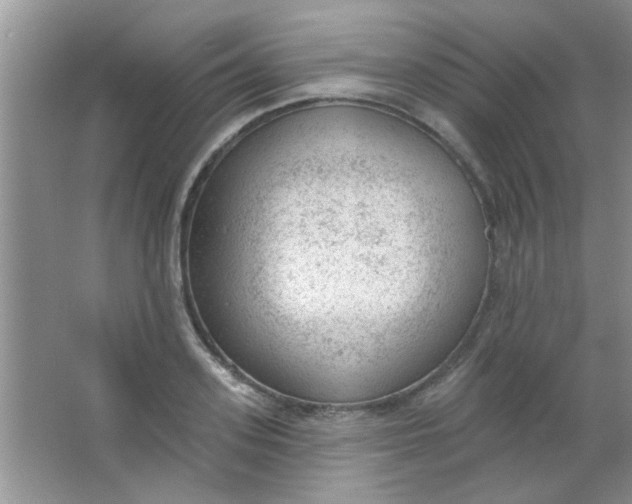 X0000063490939200602101829