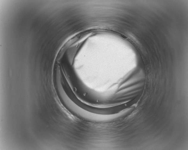 X0000063490940200602101829