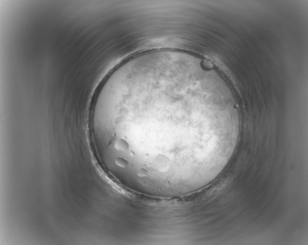 X0000063490941200602101829