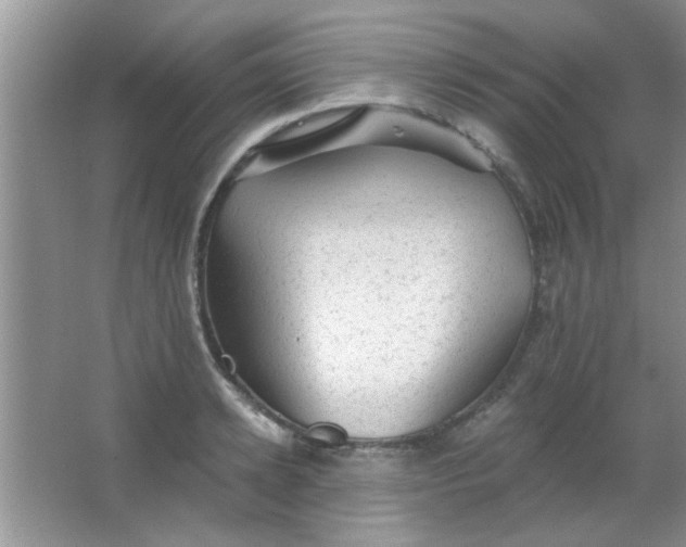 X0000063490942200602101829