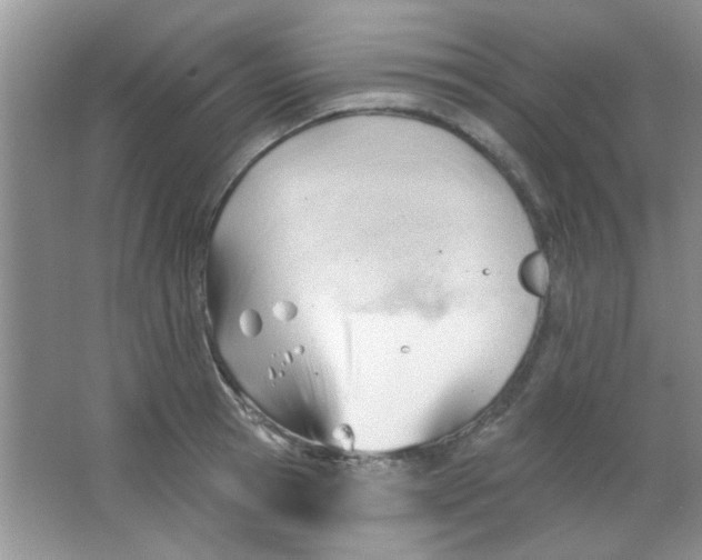 X0000063490945200602101829