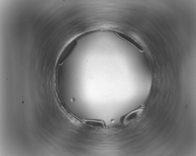 X0000063490948200602101829