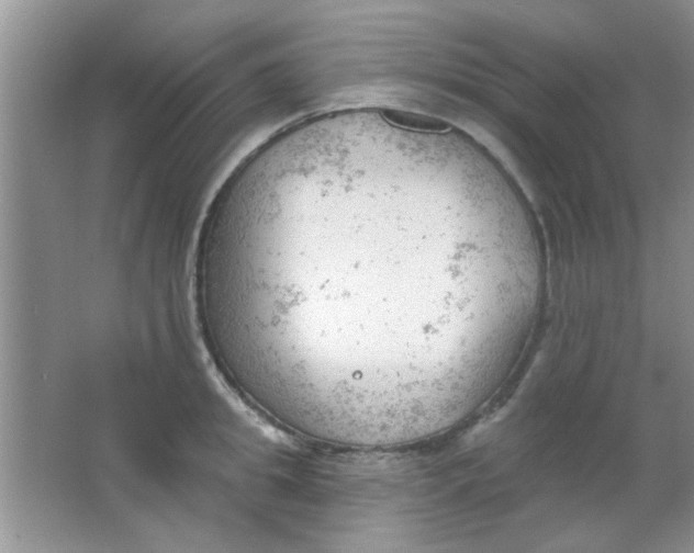 X0000063490949200602101829