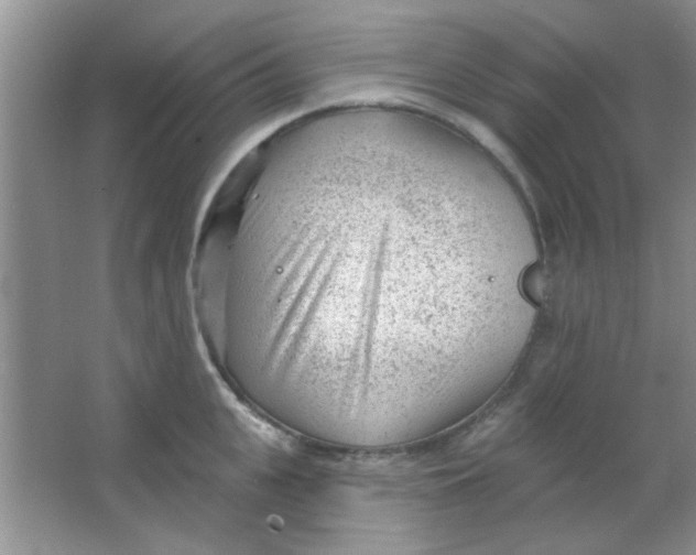 X0000063490951200602101830