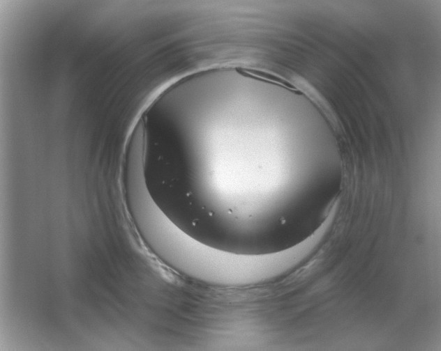 X0000063490956200602101830