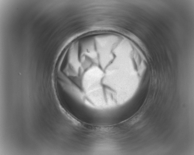 X0000063490958200602101830