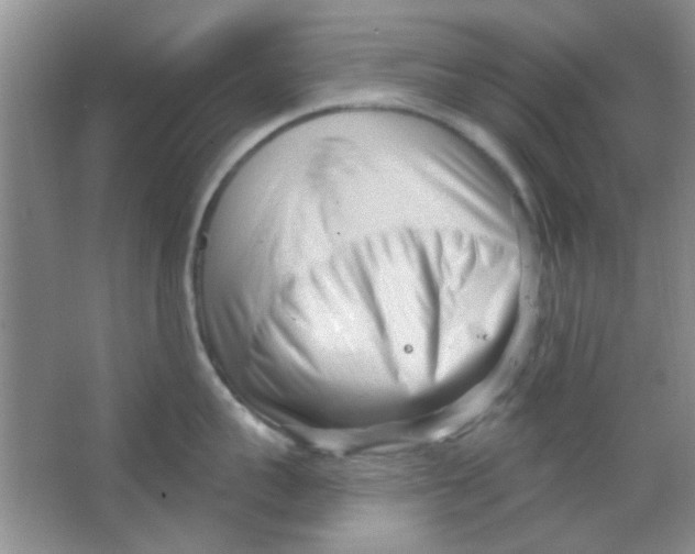 X0000063490959200602101830