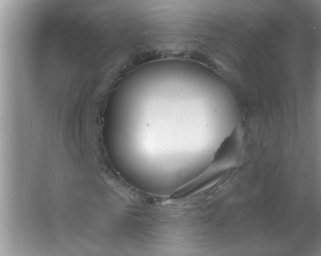 X0000063490961200602101829