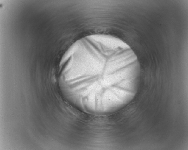 X0000063490962200602101829