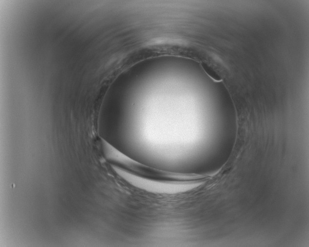 X0000063490965200602101829