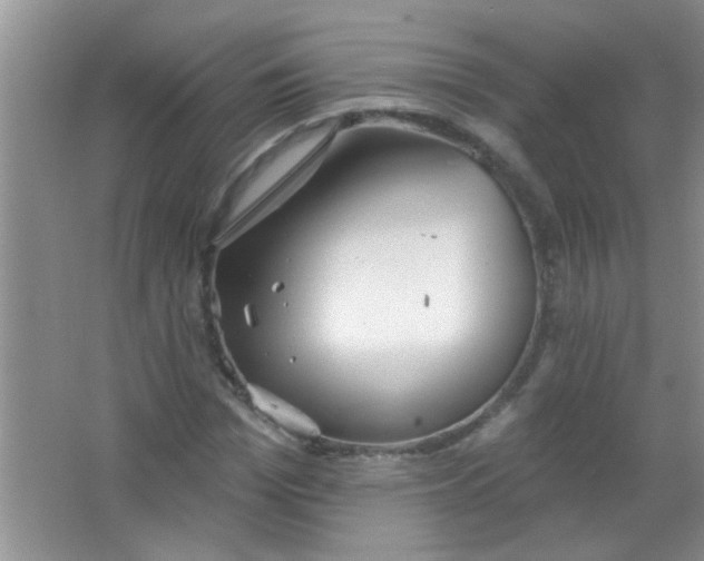 X0000063490969200602101829