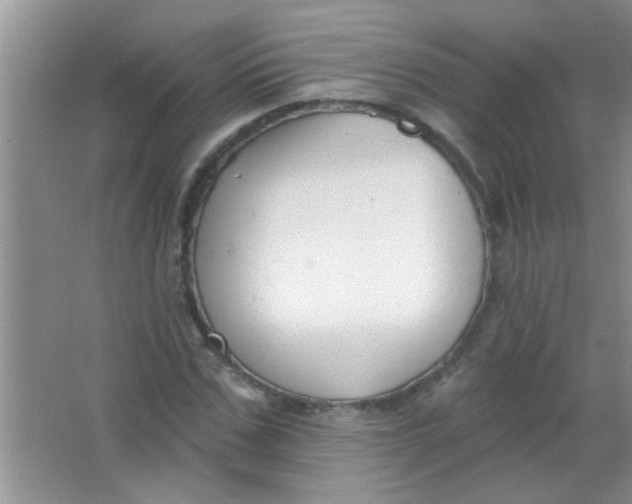 X0000063490971200602101829