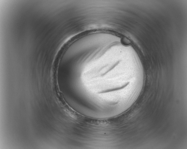 X0000063490975200602101829