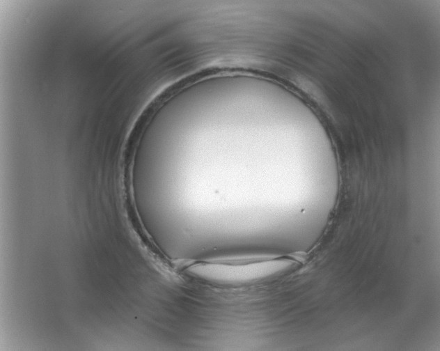 X0000063490976200602101829