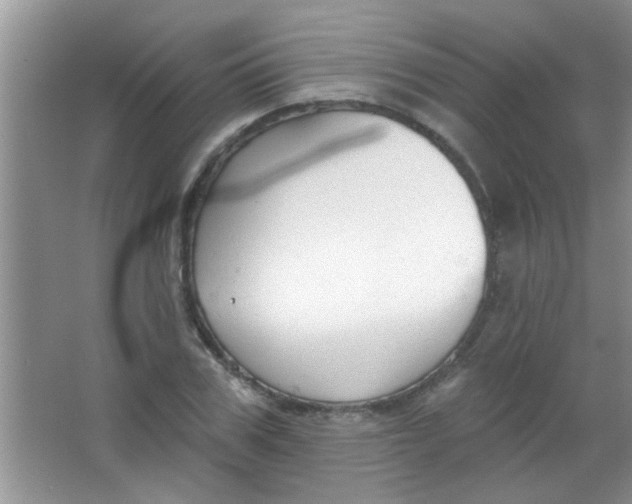 X0000063490979200602101829