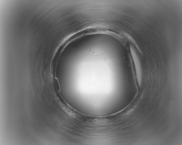 X0000063490981200602101829