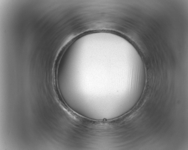 X0000063490982200602101828