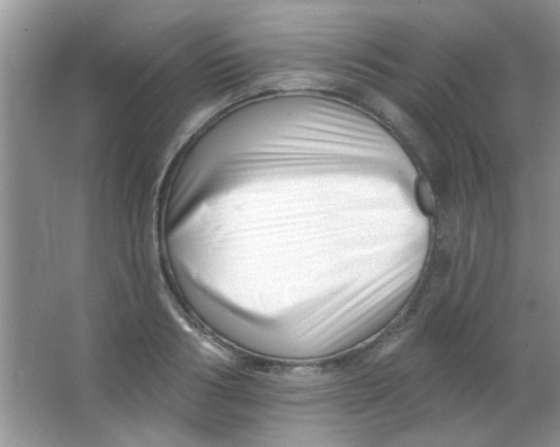 X0000063490986200602101828