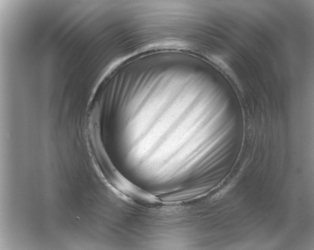 X0000063490989200602101828