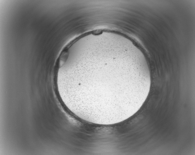 X0000063490991200602101828