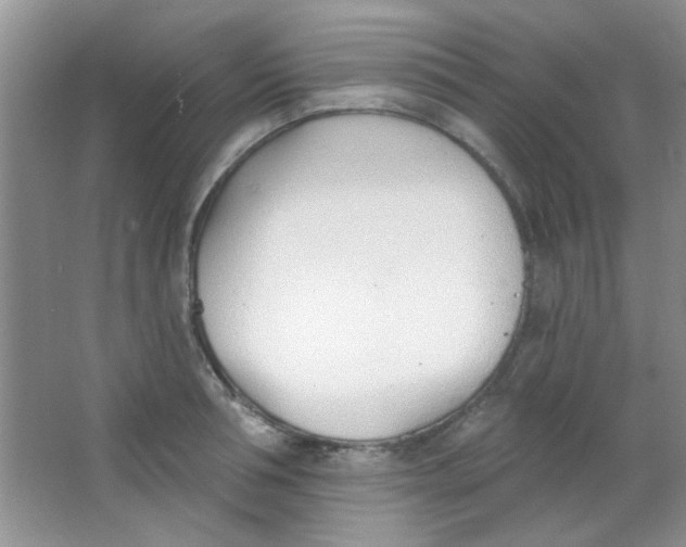 X0000063490994200602101828