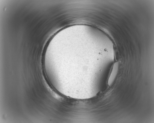 X0000063490995200602101828