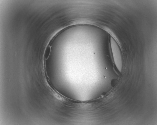 X0000063490996200602101828