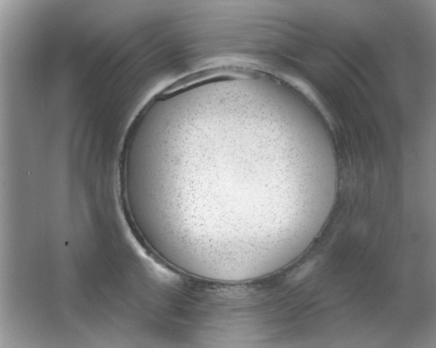 X0000063490999200602101828