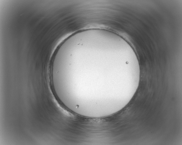 X0000063491003200602101828