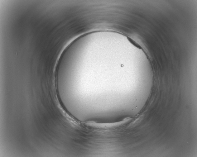 X0000063491004200602101828