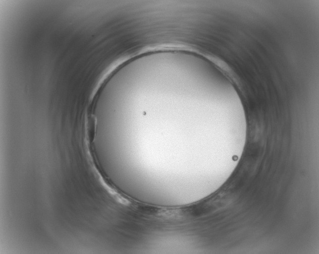 X0000063491006200602101828