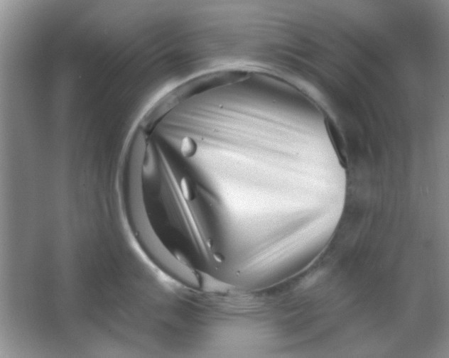 X0000063491007200602101828