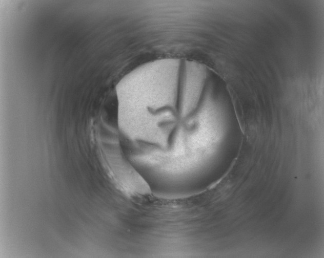 X0000063491010200602101827