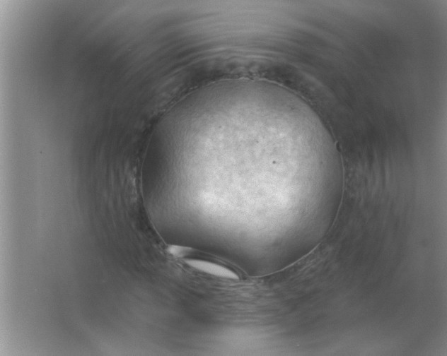 X0000063491013200602101827