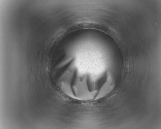 X0000063491014200602101827