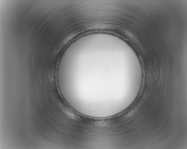 X0000063491017200602101827