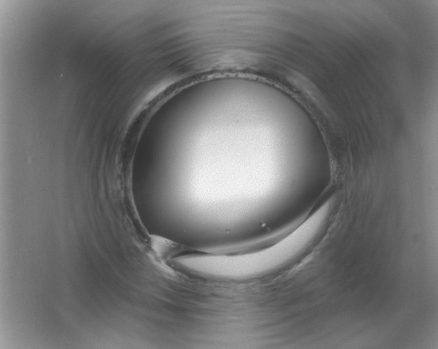 X0000063491018200602101827