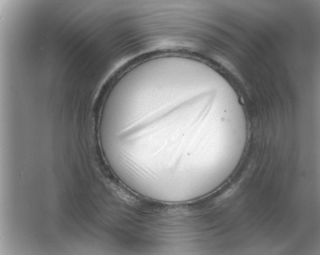 X0000063491021200602101827