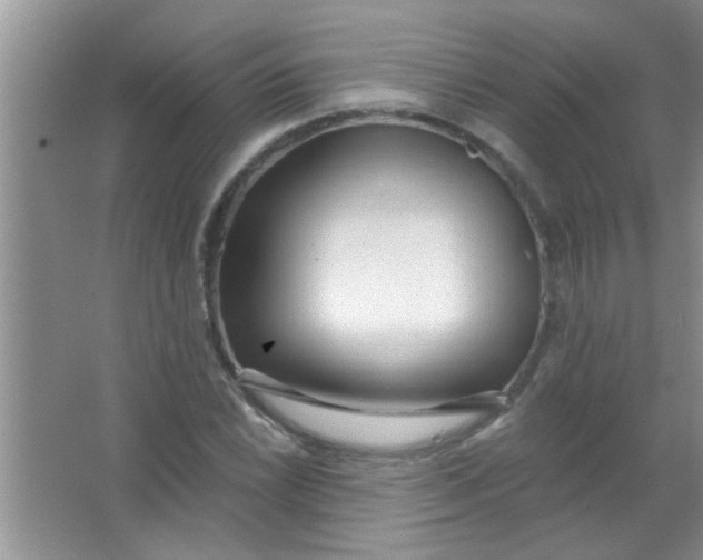 X0000063491022200602101827