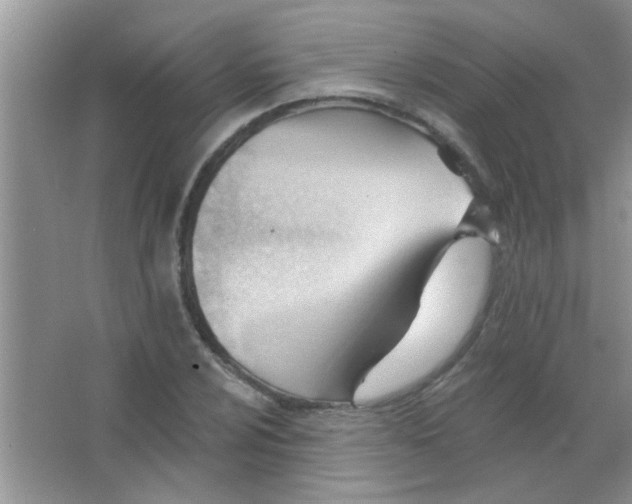 X0000063491024200602101827