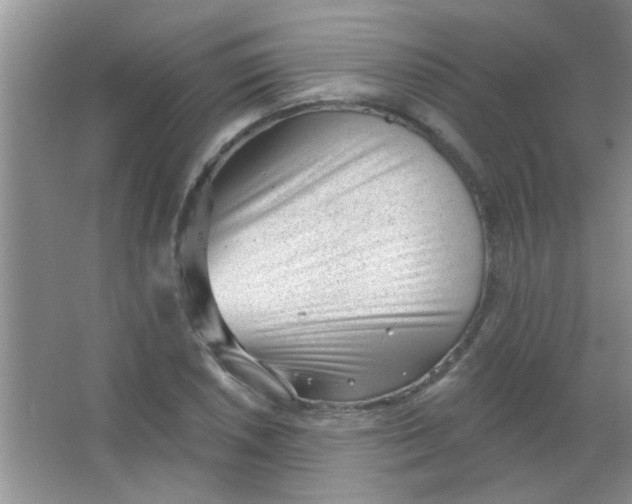 X0000063491026200602101828