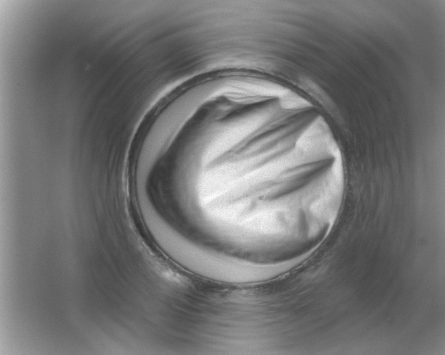 X0000063491028200602101828