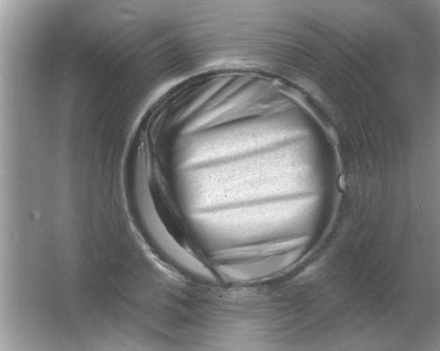 X0000063491030200602101828