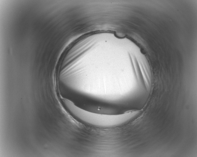 X0000063491032200602101828