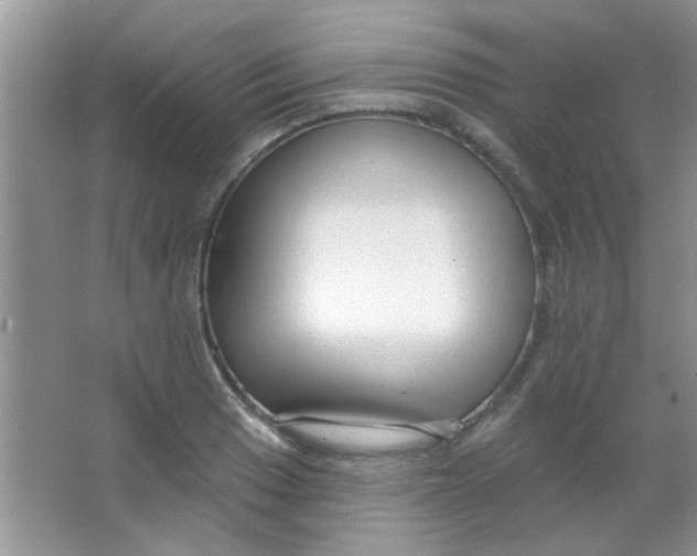 X0000063491033200602101828