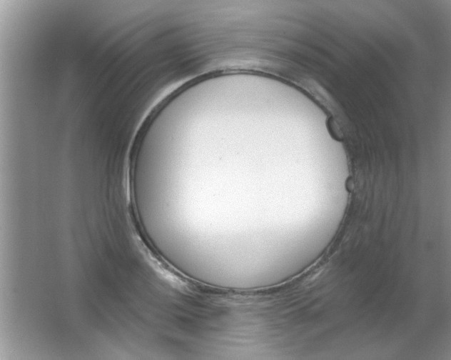 X0000063491036200602101828