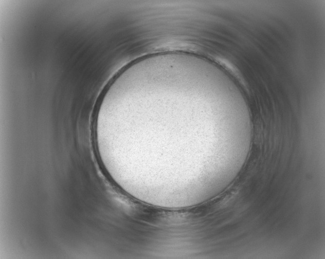 X0000063491039200602101828